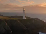 Text to Video